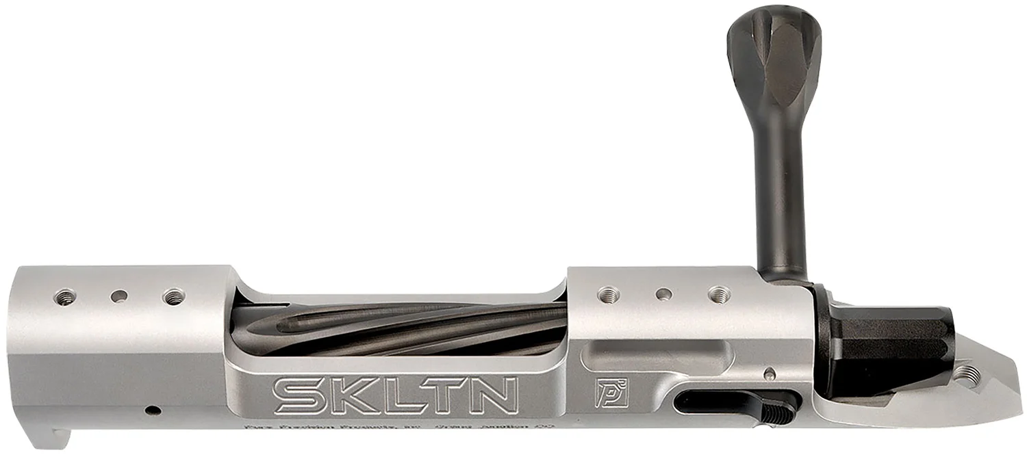 P2 IN-00288 SKLTN SA LH MAGNUM TI 1 P2 IN-00288 SKLTN SA LH MAGNUM TI
